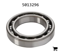 AGCO 5013296 Подшипниковый узел