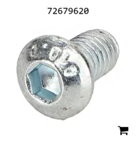 AGCO 72679620 Винт