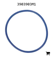 AGCO 3903903M1 Прокладка