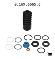 AGCO 0.169.6665.6 Комплект