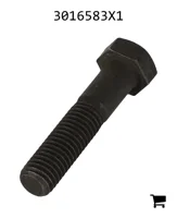 AGCO 3016583X1 Болт с шестигранной головкой
