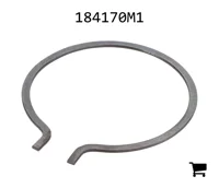 AGCO 184170M1 Кольцо