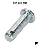 AGCO 3821816M2 Палец вилки