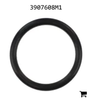 AGCO 3907608M1 Уплотнительное кольцо