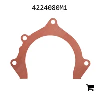 AGCO 4224080M1 Шарнир