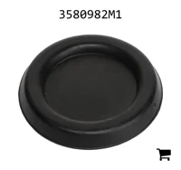 AGCO 3580982M1 Заглушка