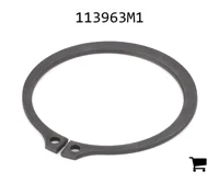AGCO 113963M1 Стопорное кольцо