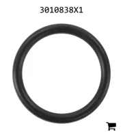 AGCO 3010838X1 Уплотнительное кольцо