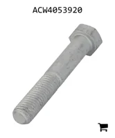 AGCO ACW4053920 Болт с шестигранной головкой
