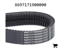 AGCO X697171900000 Клиновой ремень