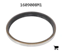 AGCO 1609008M1 Уплотнение