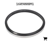 AGCO 1609008M1 Уплотнение