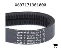 AGCO X697171901000 Клиновой ремень