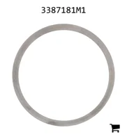 AGCO 3387181M1 Регулировочная шайба