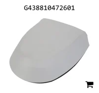 AGCO G438810472601 Приёмник