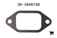 AGCO 30-3048748 Прокладка