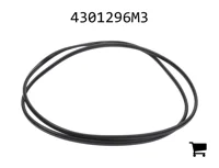 AGCO 4301296M3 Прокладка внутренней бортовой передачи