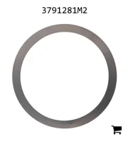 AGCO 3791281M2 Регулировочная шайба