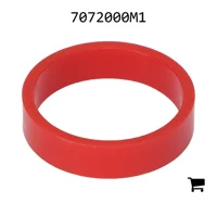 AGCO 7072000M1 Кольцо