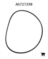AGCO AG727298 Уплотнительное кольцо