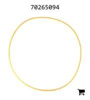 AGCO 70265094 Кольцо