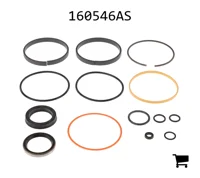 AGCO 160546AS Ремкомплект