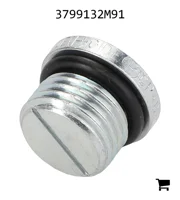 AGCO 3799132M91 Заглушка