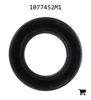 AGCO 1077452M1 Уплотнение