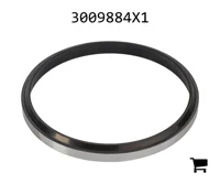 AGCO 3009884X1 Уплотнительное кольцо скребка