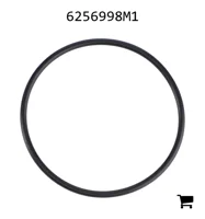 AGCO 6256998M1 Уплотнительное кольцо топливного фильтра