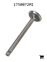 AGCO 1750072M1 Клапан