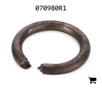AGCO 070980R1 Кольцо