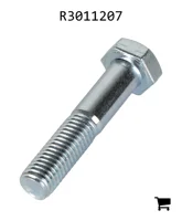 AGCO R3011207 Винт