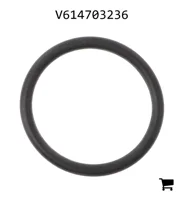 AGCO V614703236 Уплотнительное кольцо