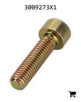 AGCO 3009273X1 Винт с цилиндрической головкой и шестигранным углублением