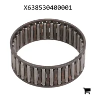 AGCO X638530400001 Игольчатое кольцо