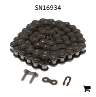 AGCO SN16934 Цепь