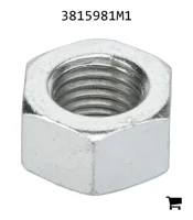 AGCO 3815981M1 Гайка