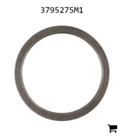 AGCO 3795275M1 Шайба