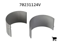 AGCO 70231124V Подшипник шатуна