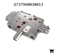 AGCO G737960030013 Клапан управления