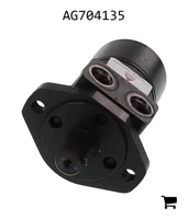 AGCO AG704135 Двигатель