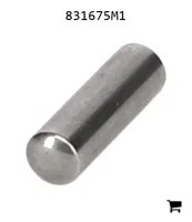 AGCO 831675M1 Ролик