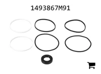 AGCO 1493867M91 Комплект уплотнений