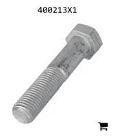 AGCO 400213X1 Болт с шестигранной головкой