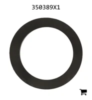 AGCO 350389X1 Плоская шайба