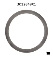 AGCO 3012049X1 Регулировочная шайба