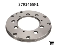 AGCO 3793465M1 Крышка