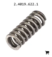 AGCO 2.4019.622.1 Пружина