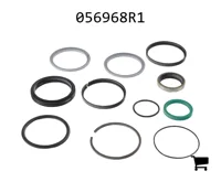 AGCO 056968R1 Ремкомплект